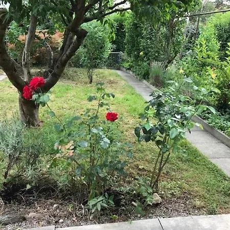 4,5-zimmer Einfamilienhaus